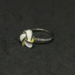 Elegant Minimalist Design Product