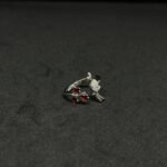 Brand and Bird Ring