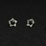 Elegant Earrings with Beautiful Diamonds
