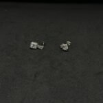 Elegant Silver Earrings