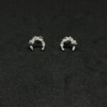 Beautiful Diamond Earrings