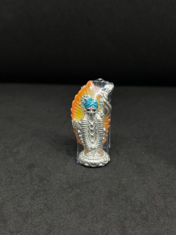 Shreenathji Murti - Embodiment of Divine Grace