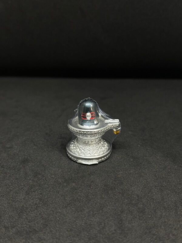 Exquisite Shivling Murti