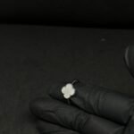 Beautiful Ring for Women