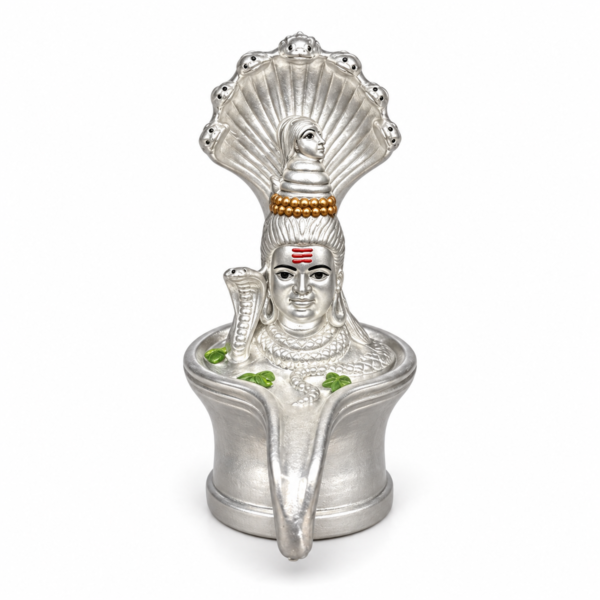 Exquisite Shiv Ji Murti