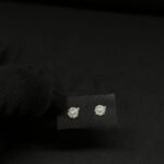 Beautiful Earrings