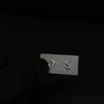 Beautiful Earrings