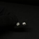 Beautiful Earrings