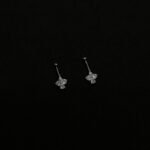 Ear Bugadi