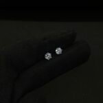 Silver Studs